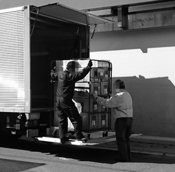 テールゲートリフター